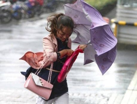 夢見大風大雨|夢見大風大雨是什麼意思